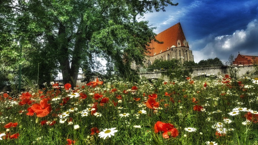 fot. Tomasz Smagłowski