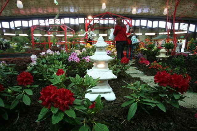 Wystawy kwiatów w Kapeluszu w Parku Śląskim