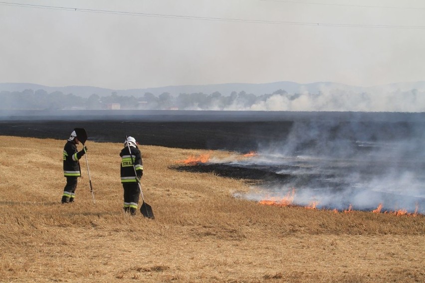 Pożar kilkunastu hektarów ścierniska w pobliżu drogi...