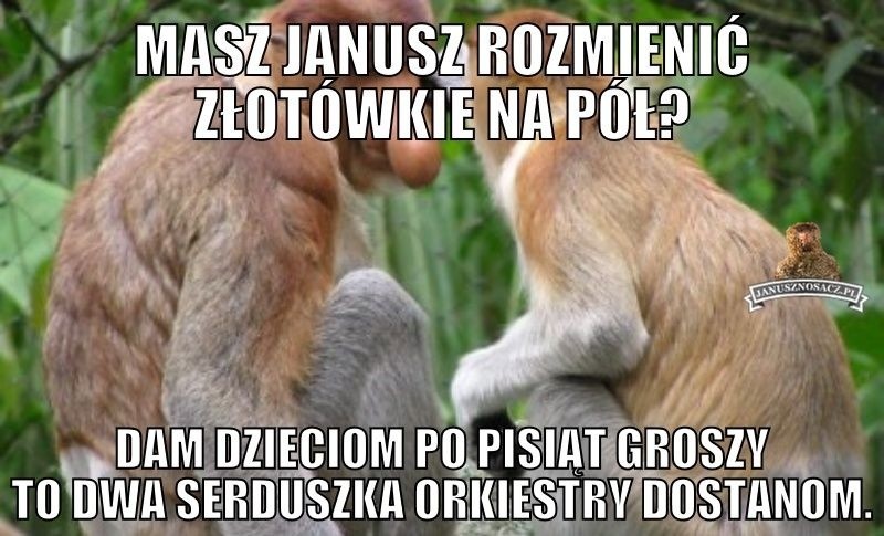 Lubisz memy? Sprawdź koniecznie najśmieszniejsze memy o...