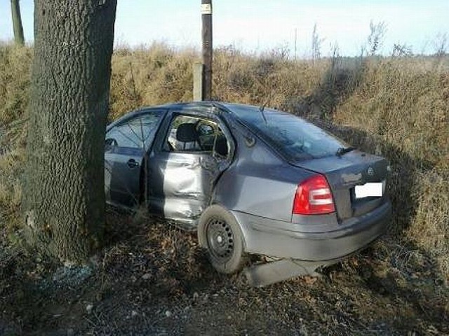 We wtorek w okolicach wsi Sośnia kierujący skodą wpadł w poślizg, po czym zjechał do przydrożnego rowu i uderzył w bokiem w drzewo.