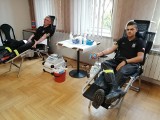 Zbiórka krwi w Wolanowie. Dawcy wychodzili z Urzędu Gminy ze specjalnymi upominkami. Zobaczcie zdjęcia