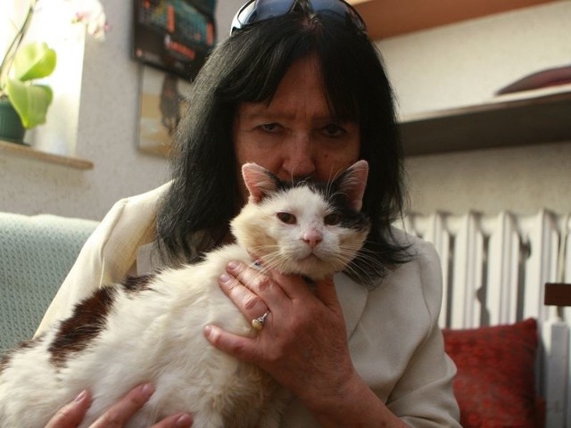 Najbardziej znana właścicielką kota w Słupsku Anna Bogucka-Skowrońska ze swoim Bronisławem. 