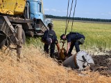 Rosjanie ostrzeliwują i palą ukraińskie zboża. Chcą powtórzenia klęski wielkiego głodu [WIDEO]