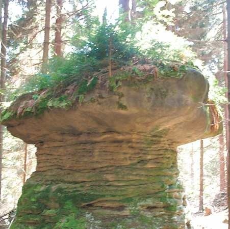 Góry Stołowe słyną z niesamowitych form skalnych