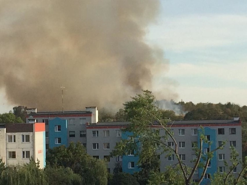 Wrocław: Pożar przy Wzgórzu Gajowym. Kłęby czarnego dymu widoczne z oddali