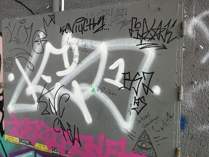 Toruń walczy z nielegalnym graffiti. Jak i ile chce na to wydać?