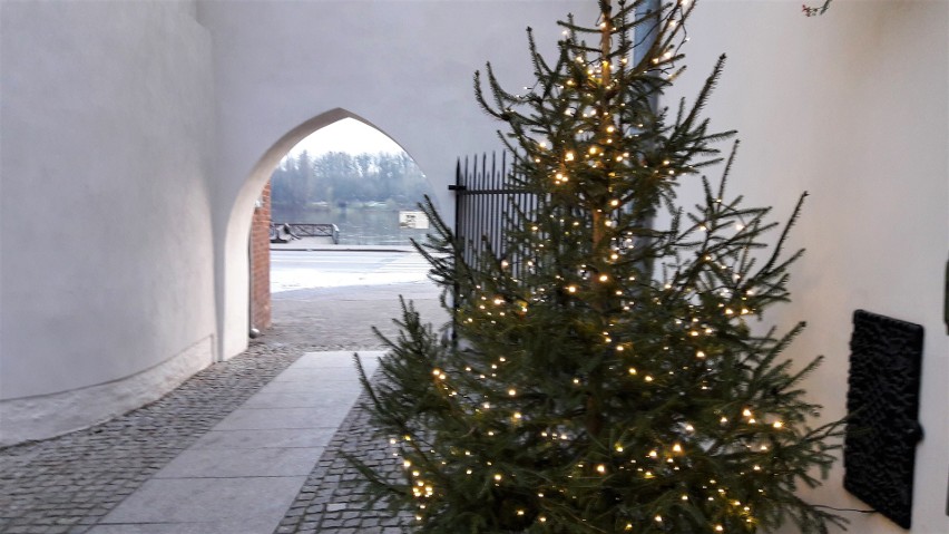 W Toruniu przed świętami Bożego Narodzenia