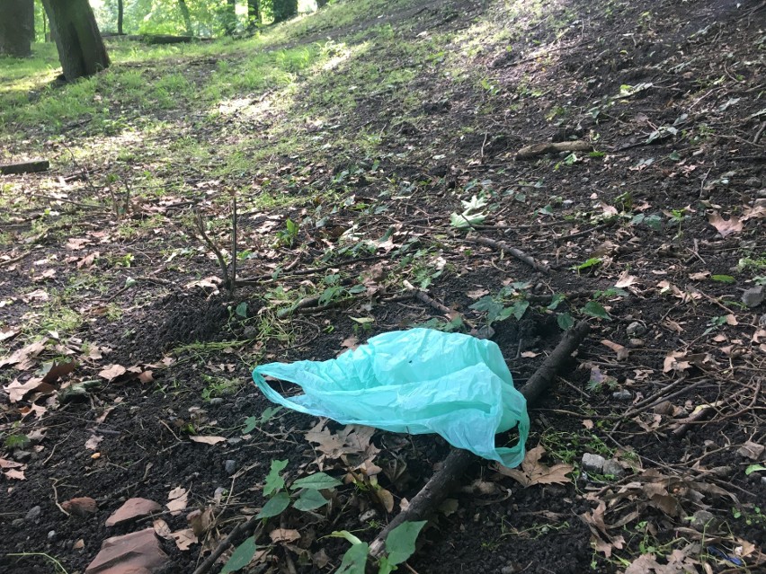 Spacery po zabrzańskich parkach w towarzystwie śmieci....