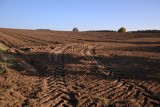 Dobrzeszów, gmina Łopuszno. Tragedia podczas prac polowych, nie żyje kierowca ciągnika rolniczego