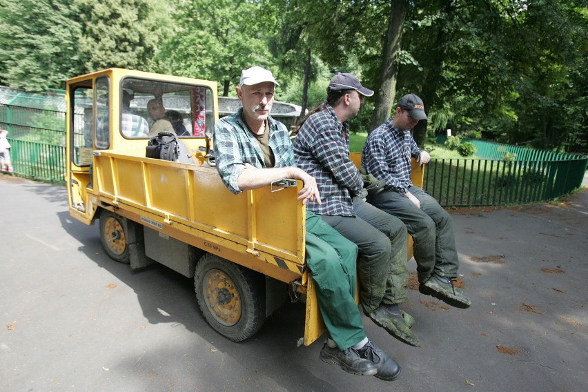 Śląski Ogród Zoologiczny od kuchni