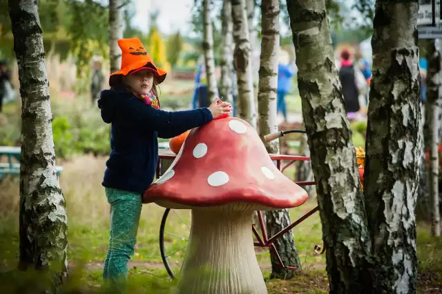 Niedziela w Ogrodach Tematycznych w Dobrzycy była wesoła, jesienna i apetyczna. A to za sprawą Dyniowego Garden Party, które powoli staje się już tradycją (rok temu miała miejsce pierwsza edycja). Pogoda mogła popsuć szyki uczestnikom, ale szczęście im sprzyjało.Uczestnicy dopisali. Organizatorzy przygotowali dla nich sporo atrakcji. Jedną z nich była dyniowa gonitwa, czyli rodzinna sztafeta z przeszkodami. Na dystansie 600 m organizatorzy przygotowali 4 punkty zmiany uczestników, którzy przykazywali sobie dynię, oraz trzy przeszkody. Jedną z atrakcji były poszukiwania... dyni. W zaułkach labiryntu ukryte zostały pomarańczowe giganty. Gracze otrzymali mapy z zaznaczonymi punktami ukrycia dyni. Zadaniem uczestników zabawy było ich odnalezienie i oczywiście wydostanie się z wnętrza labiryntu - co, jak się okazało, wcale takie proste nie było.Odwiedzając ogrody można było oczywiście podziwiać dynie - organizatorzy przygotowali olbrzymie egzemplarze oraz te najdziwniejsze. Odwiedzający imprezę mogli też wziąć udział w konkursie na halloweenową dynię oraz kreatywnych warsztatach i zabawach przygotowanych przez animatorów  z Centrum Kultury w Sianowie. Imprezy tematyczne w Hortulusie to też okazja do poznania nowych smaków - na uczestników czekał gar dyniowej zupy, można też było kupić smakołyki na stoiskach wystawców Polska Smakuje z produktami tradycyjnymi i regionalnymi, a wśród nich dyniowy ketchup, dynia marynowana czy aromatyczne miody. Organizatorzy przygotowali też sprawdzone przepisy na dyniowe dania. Zobacz także: Nela Mała Reporterka w Atrium