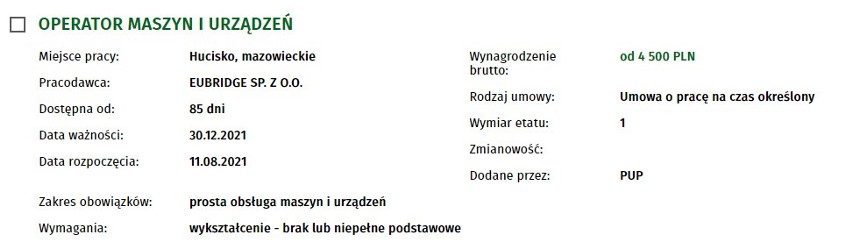 Nowe oferty pracy w powiecie przysuskim. Zobacz ile można zarobić [LISTA OFERT]