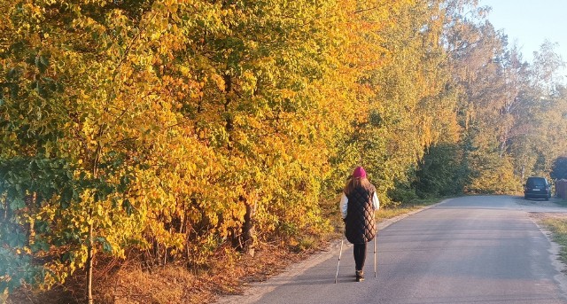 Zobaczcie w galerii miejsca w Golubiu-Dobrzyniu i okolicach, idealne na jesienny spacer, nordic walking, do biegania, na rower czy gwarantujące niesamowite widoki