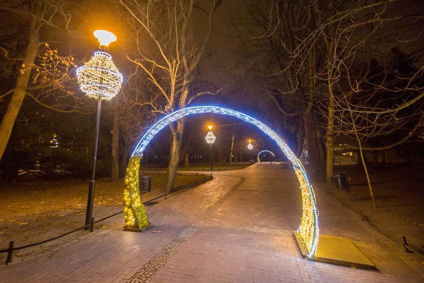 Iluminacje w Parku Oliwskim