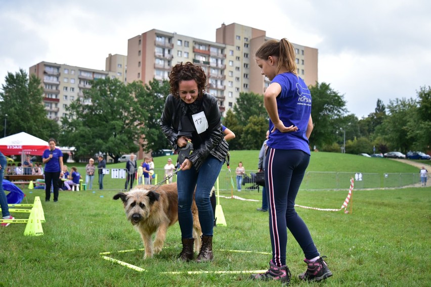 Piknik ekologiczny na Klimzowcu