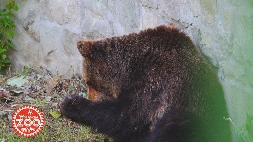 W śląskim zoo - nowy serial telewizyjny na kanale Active...