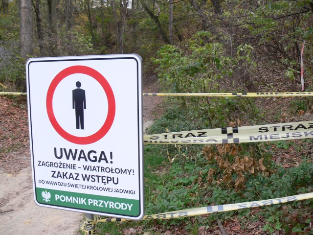 Do Wąwozu Królowej Jadwigi w Sandomierzu obowiązuje zakaz wstępu.