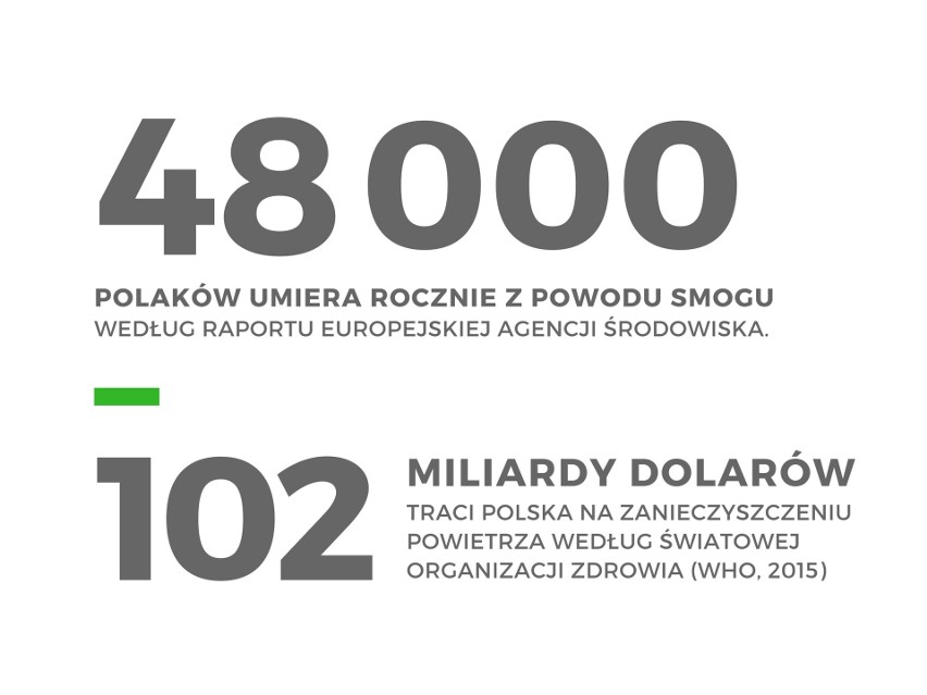 Narodowy Program Antysmogowy [GALERIA ZDJĘĆ]