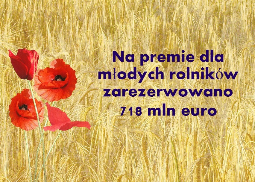 Premie dla młodych rolników 2015 - terminy, zasady, wnioski - PROW 2014-2020