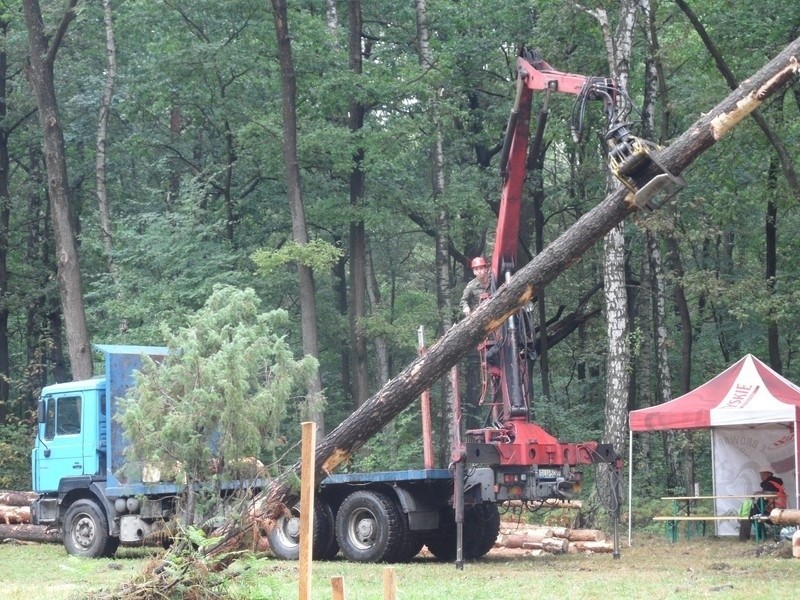 Cietrzewisko 2013 w Koszęcinie