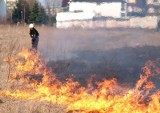 Setki pożarów traw wokół Radomia! Tak jest w wielu powiatach regionu