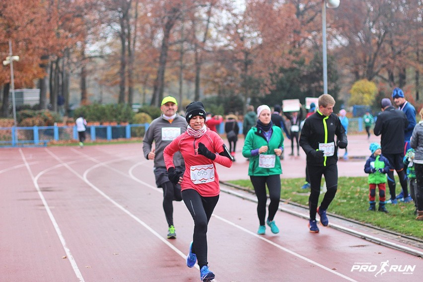 Bieg z Wąsem 2016, Wrocław