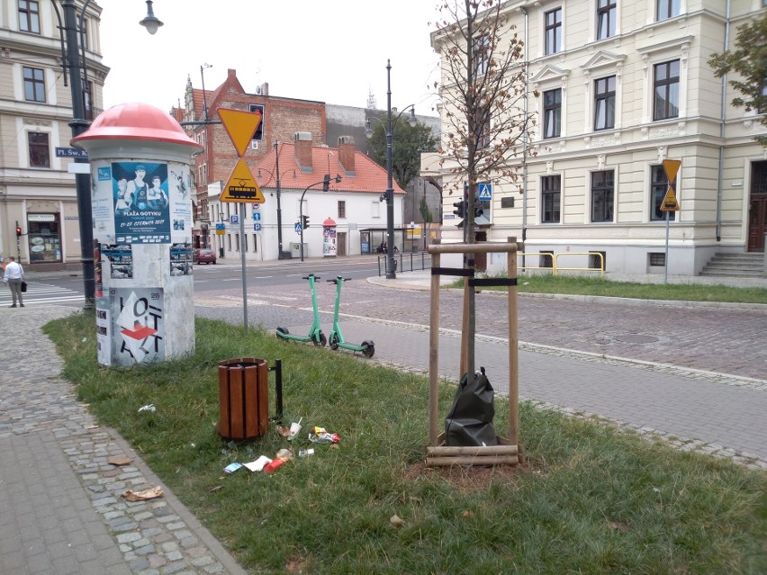 Taki widok niestety nie należy w Toruniu do rzadkości.