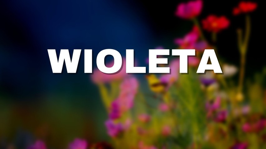 Wioleta, Wioletta – imię żeńskie pochodzenia włoskiego....