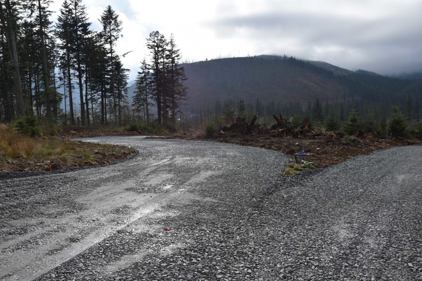 Kościelisko. Rozpoczęła się budowa nowych tras biegowych w Kirach [ZDJĘCIA]