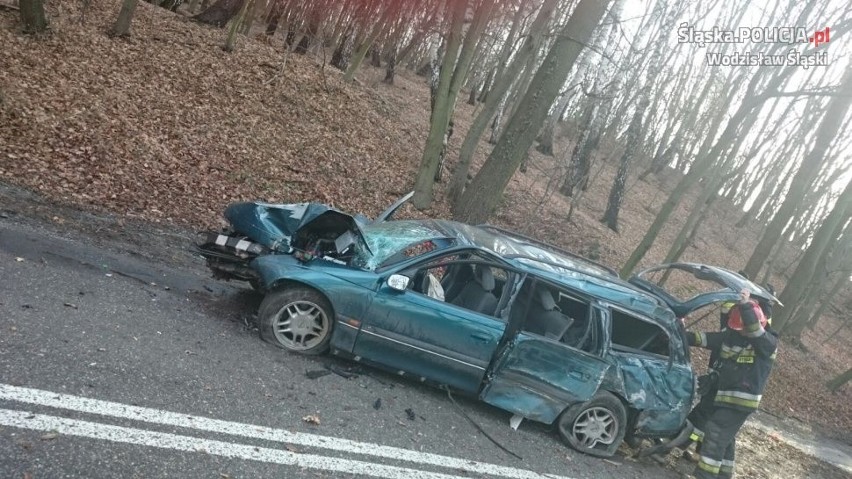 Wypadek w Syryni: Opel uderzył w drzewo. Kierowca pijany ZDJĘCIA