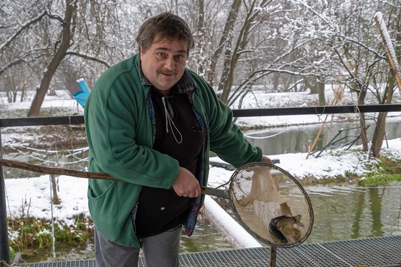 Tradycyjnego karpia na wigilijnym stole coraz częściej wypiera nasz rodzimy pstrąg. Jest smaczniejszy i łatwo go przyrządzić