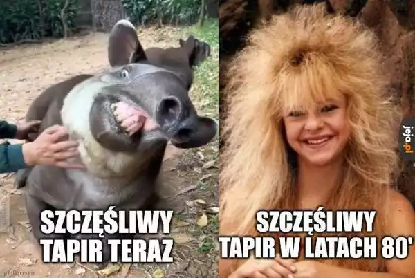 Zobacz najlepsze memy o latach 80