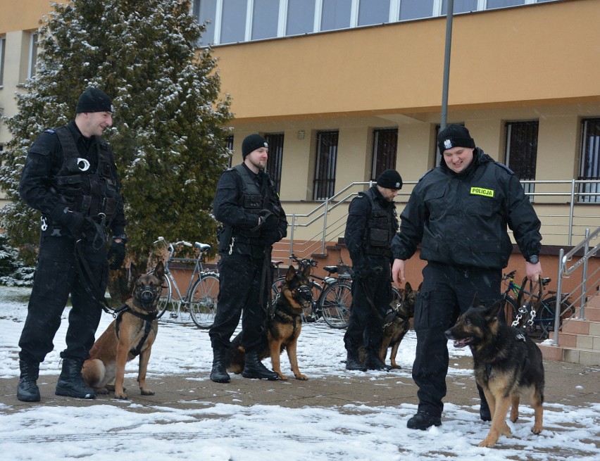 Suwałki. Czworonożny funkcjonariusz policji przeszedł na emeryturę. Tazer służył osiem lat [ZDJĘCIA]