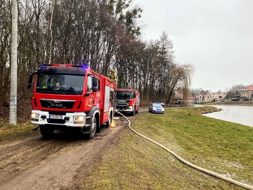 Pożar przyczepy kempingowej w Kamieńcu - pojazdu nie udało...