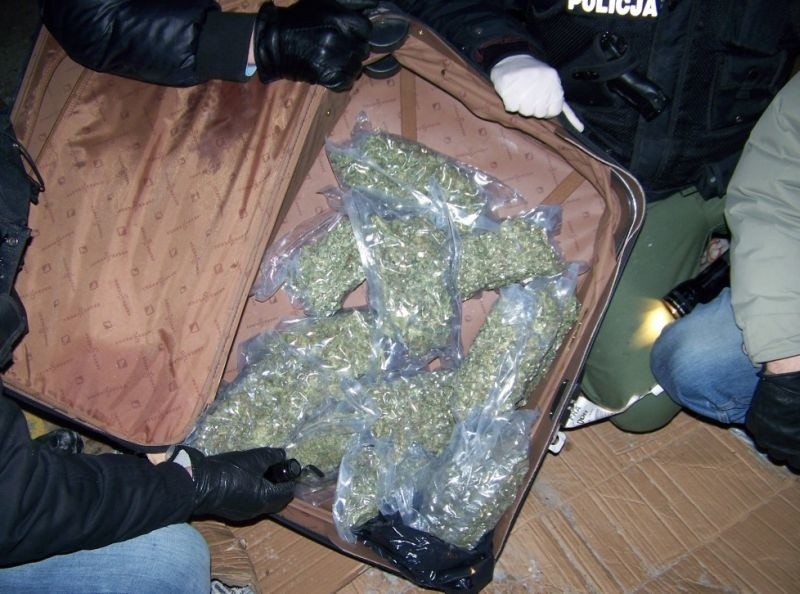 7 kilogramów marihuany