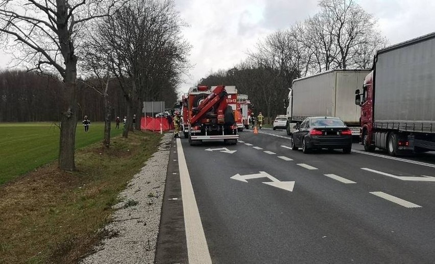 Śmiertelny wypadek na K92 w okolicach Lwówka w powiecie...