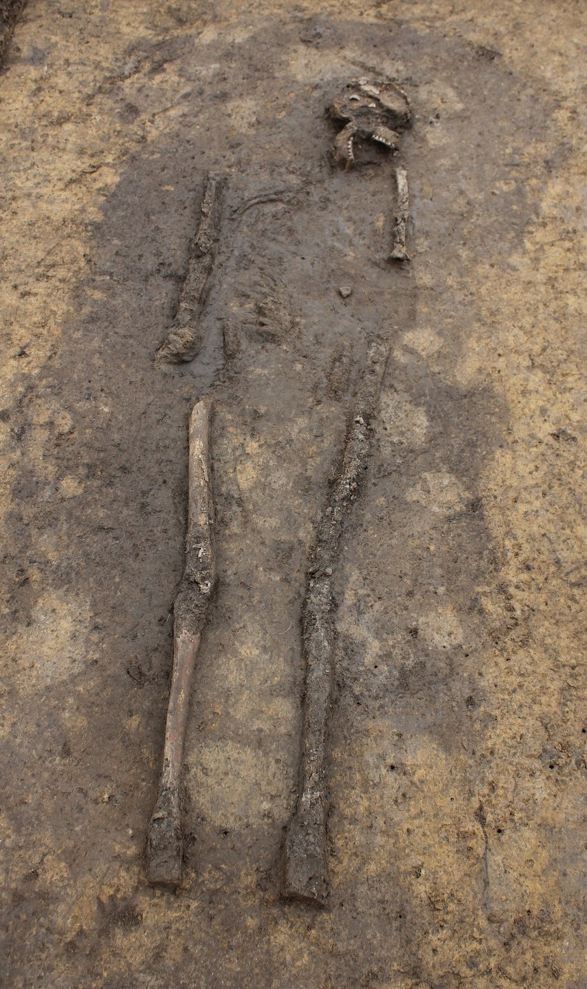 Grób szkieletowy z XI-XII w.