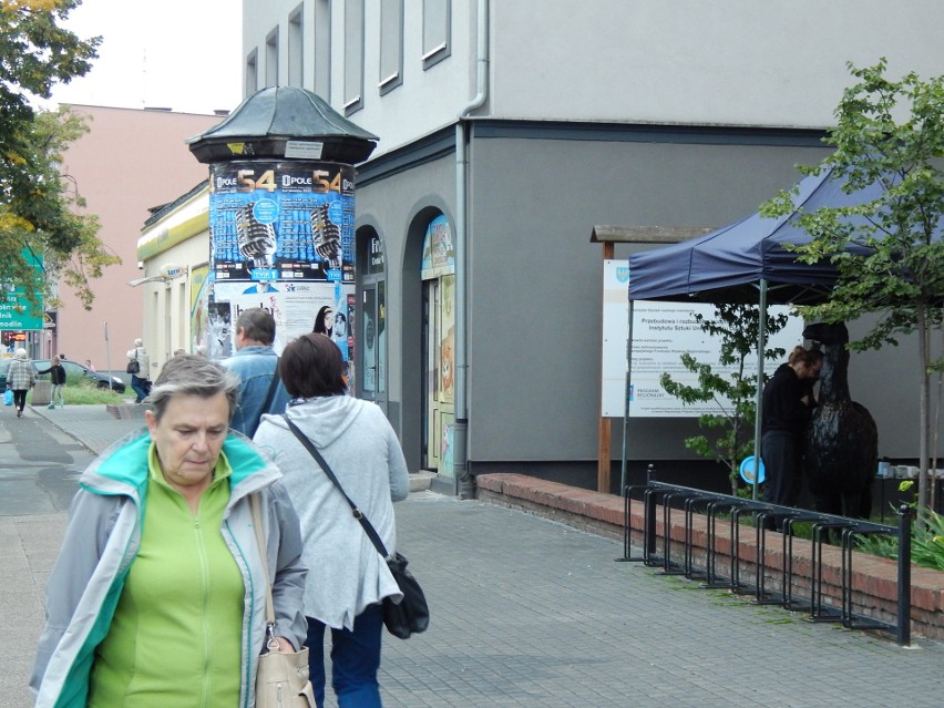 Akacja "Lamowanie" w Opolu.