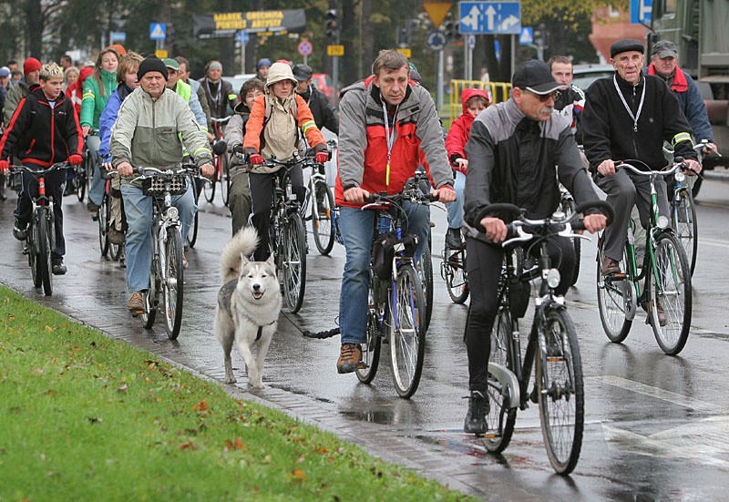 Rowerzyści na ulicy Anny Lajming.