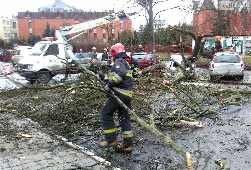 Wichura nad Szczecinem [4.03.2019 r.] Drzewa łamały się jak zapałki [WIDEO, ZDJĘCIA]