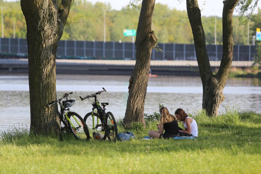 Katowice – najlepsze pomysły na wakacje w mieście