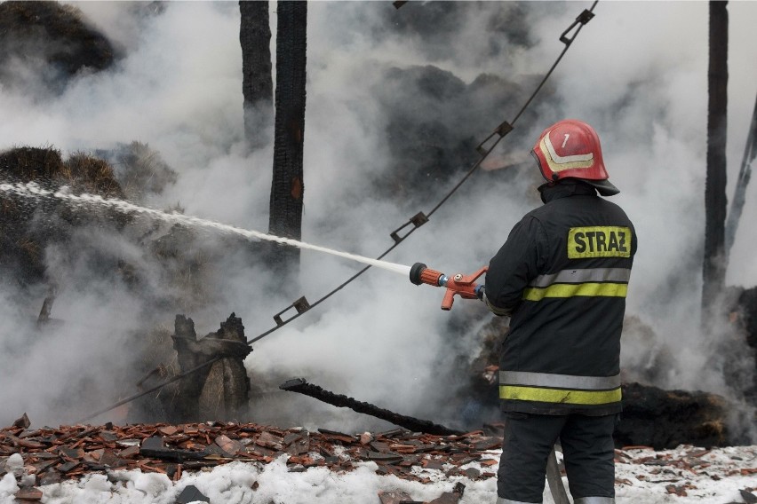 Pożar dużej stodoły pod Wrocławiem, w pobliżu Zalewu...