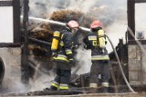 Potężny pożar stodoły pod Wrocławiem. Z ogniem walczyło 12 zastępów strażaków
