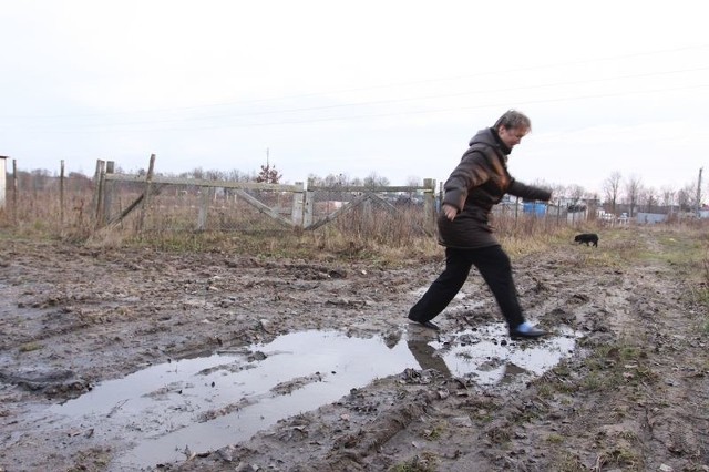 Ta droga jest tylko na mapach GPS &#8211; mówi Ewa Siekierko. &#8211; Ludzie zjeżdżają z Jana Pawła II prosto w łąkę.