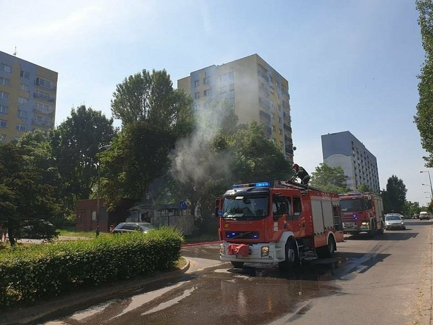 Pożar pergoli w czerwcu 2021 roku przy ul. Bartoka w Łodzi...