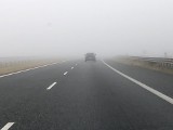 Jazda we mgle. Zaparowane szyby.  Na co kierowcy muszą uważać jesienią? 