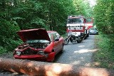 Wypadek w okolicach Klonowa. Ranna kobieta w szpitalu