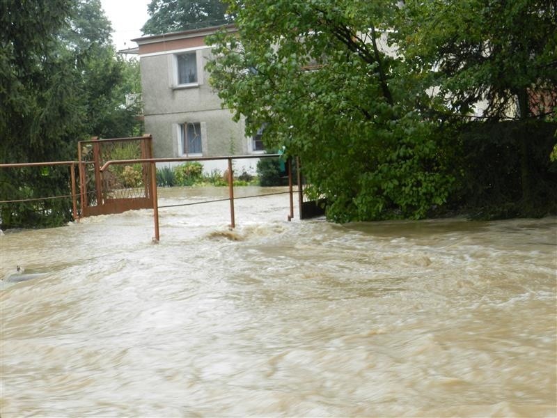 W gminie Reńska Wieś podtopionych zostało około 30 domów i...