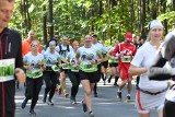 Festiwal biegów po Zielonym Lesie w Żarach. Na starcie stanęło ponad 300 biegaczy